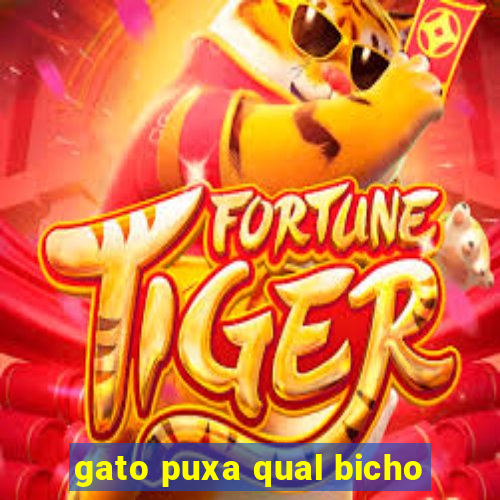 gato puxa qual bicho