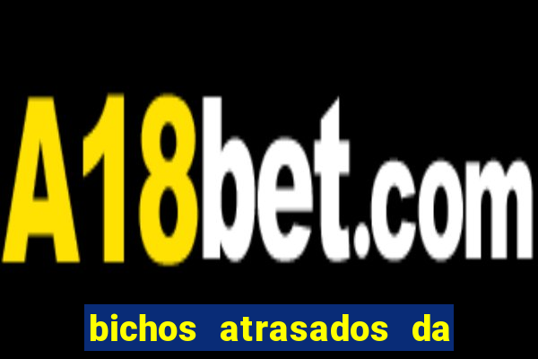 bichos atrasados da loteria federal