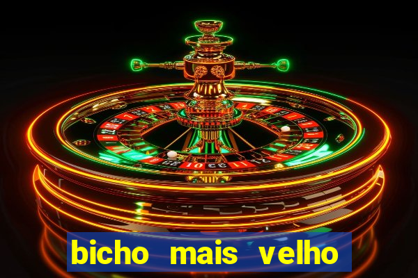 bicho mais velho da loteria dos sonhos