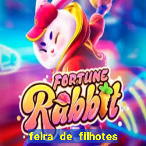feira de filhotes porto alegre