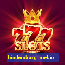 hindemburg melão jr fortuna