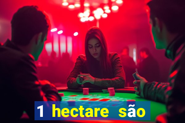 1 hectare são quantas tarefas na bahia