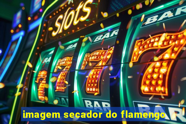 imagem secador do flamengo