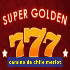 camino de chile merlot