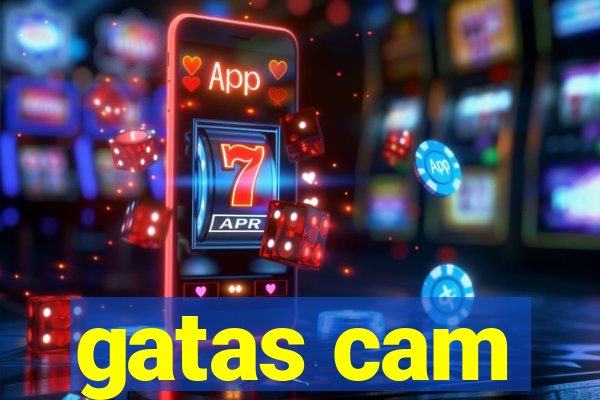 gatas cam