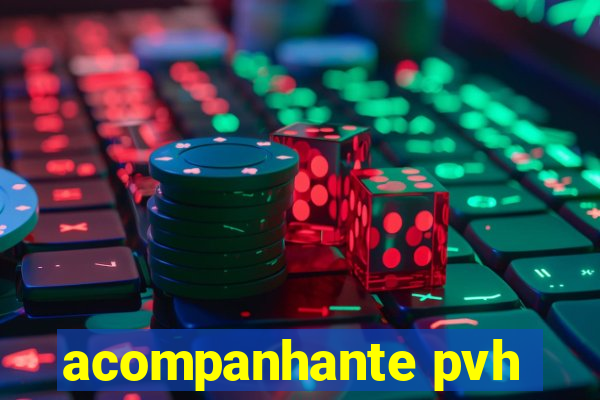 acompanhante pvh