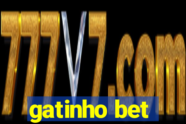 gatinho bet