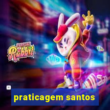 praticagem santos