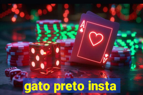 gato preto insta