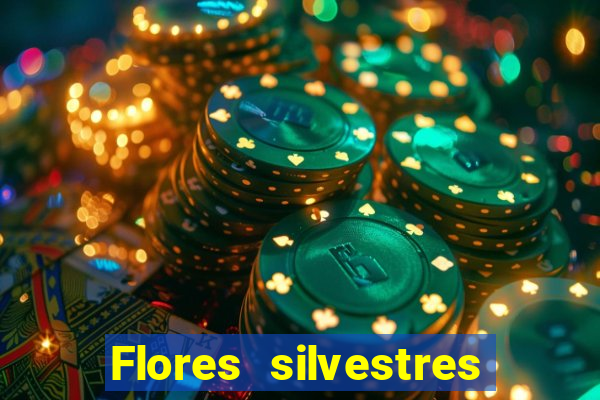 Flores silvestres brasileiras brasileiras flores silvestres nomes e imagens
