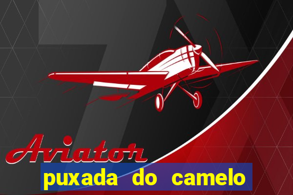 puxada do camelo no jogo do bicho