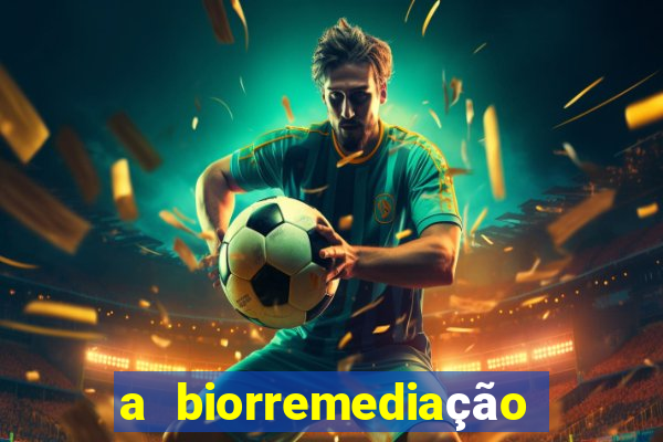 a biorremediação é uma tecnologia sustentável?