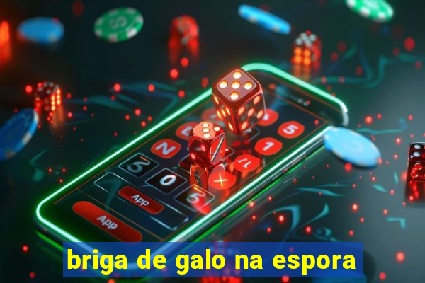 briga de galo na espora