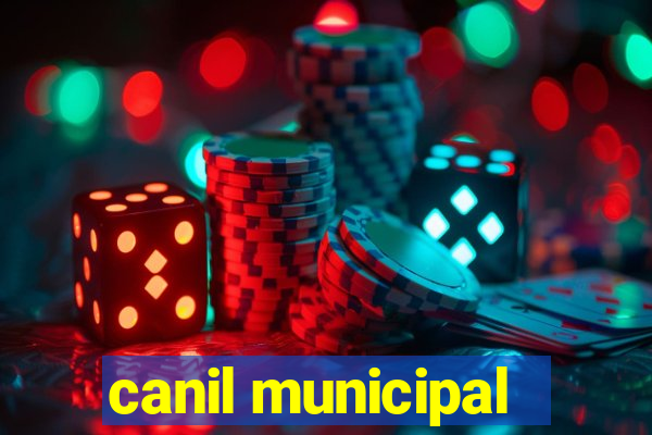 canil municipal