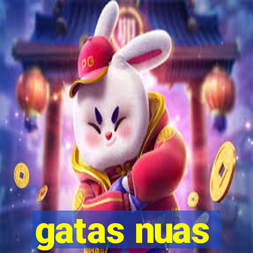 gatas nuas