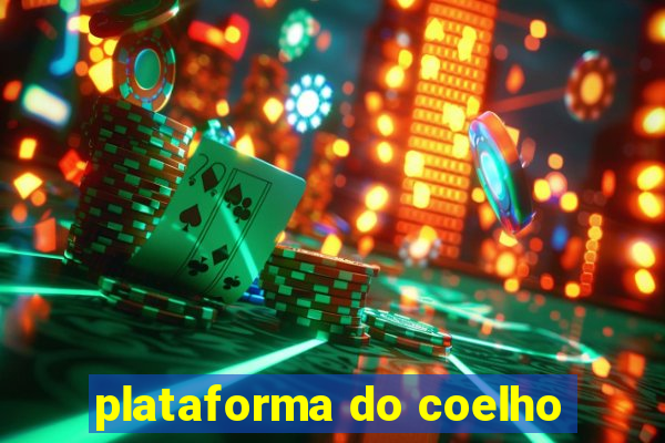 plataforma do coelho