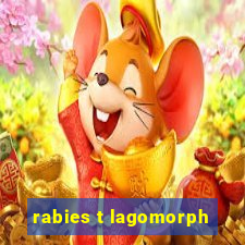rabies t lagomorph
