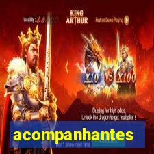 acompanhantes masculino pvh