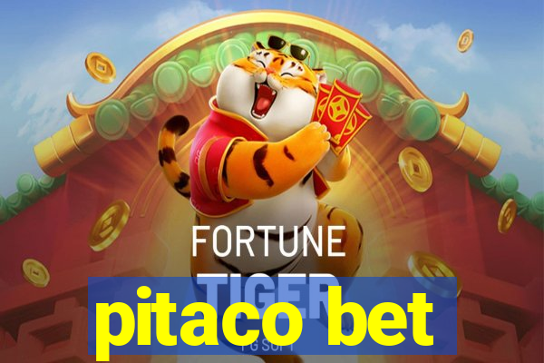 pitaco bet