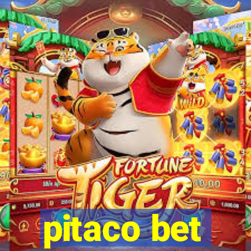 pitaco bet