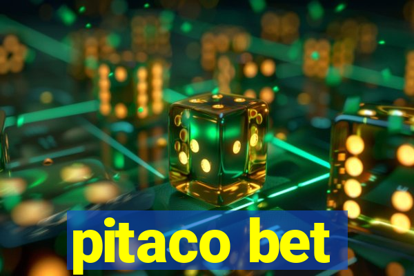 pitaco bet