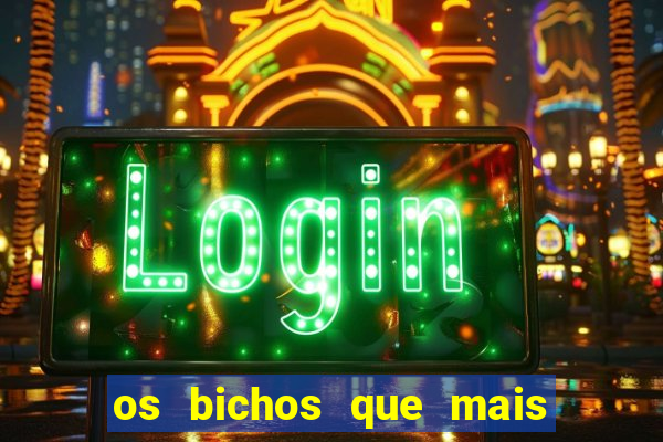 os bichos que mais saem na loteria federal