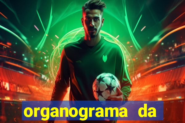 organograma da cacau show