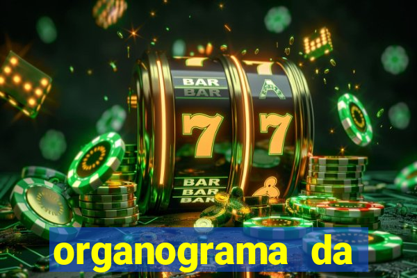 organograma da cacau show