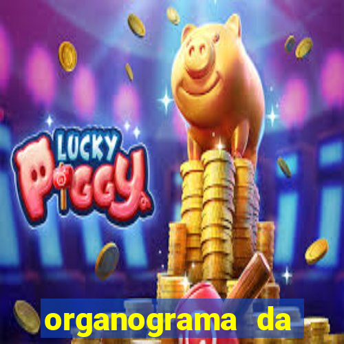 organograma da cacau show