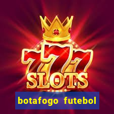 botafogo futebol play hd
