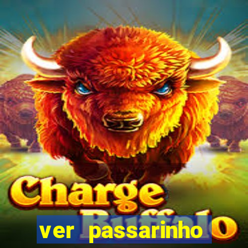 ver passarinho morto significado