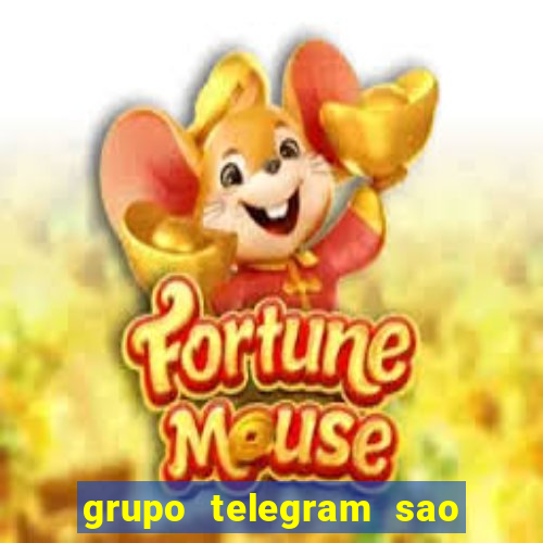 grupo telegram sao jose do rio preto