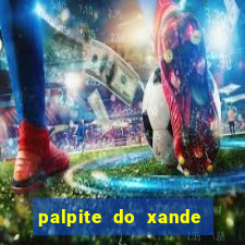 palpite do xande de hoje