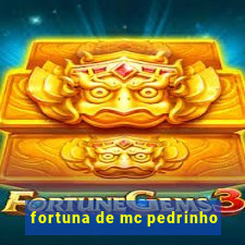 fortuna de mc pedrinho