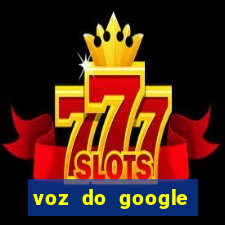 voz do google tradutor homem