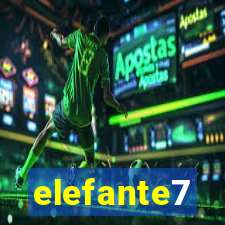 elefante7