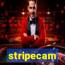 stripecam