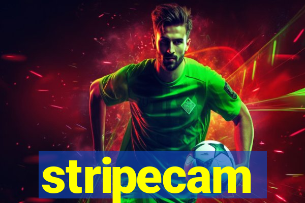 stripecam