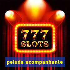 peluda acompanhante