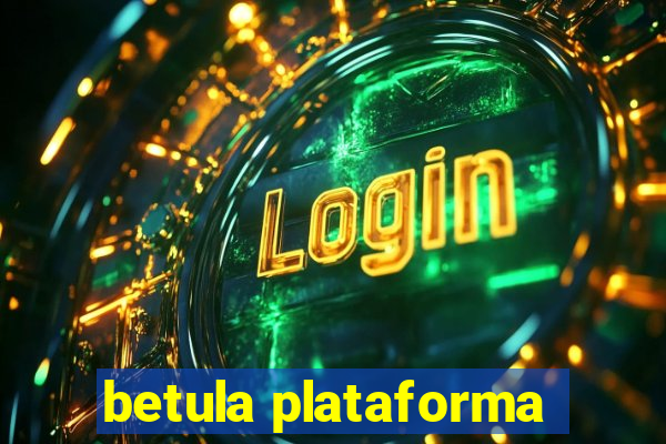 betula plataforma