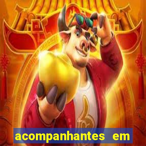 acompanhantes em feira de santana bahia