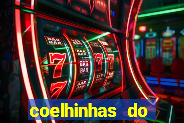 coelhinhas do brasil acompanhantes