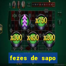 fezes de sapo transmite doença para humanos