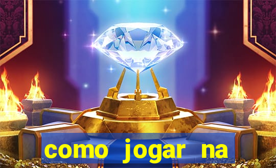 como jogar na lotinha do jogo do bicho