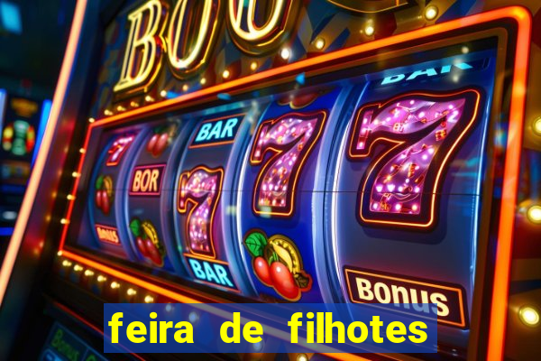 feira de filhotes porto alegre