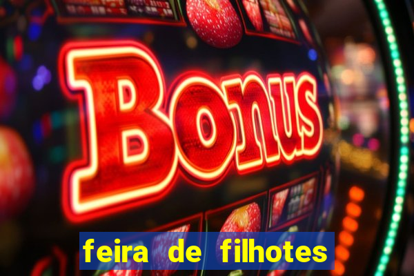 feira de filhotes porto alegre