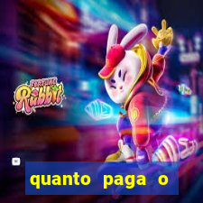 quanto paga o jungle fight