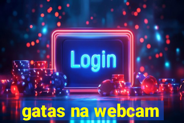 gatas na webcam