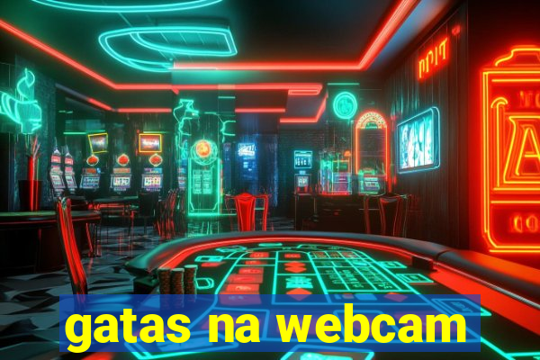 gatas na webcam