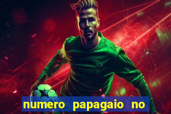 numero papagaio no jogo do bicho